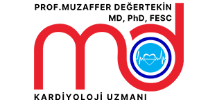 muzaffer-degertekin-logo-tr (1)